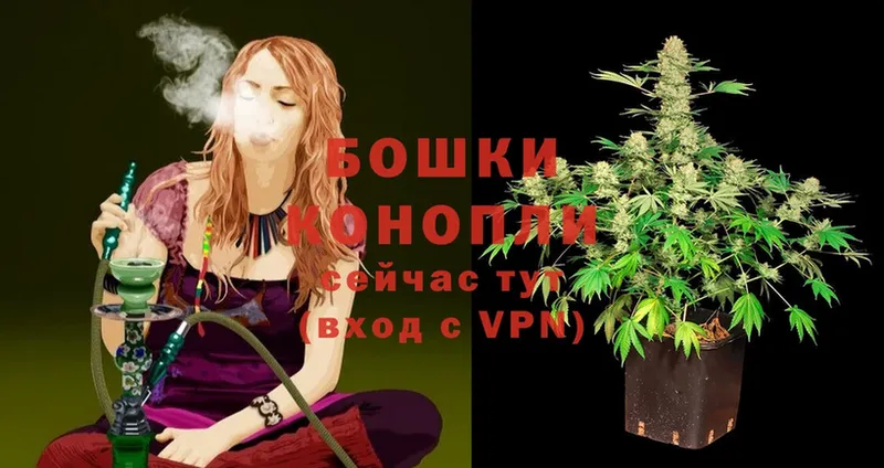 Шишки марихуана THC 21%  Опочка 